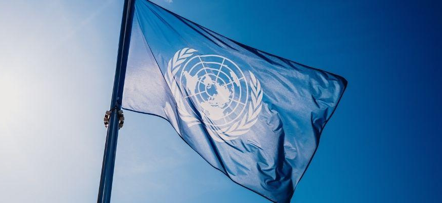 Все страны ООН: список 2023, карта, таблица